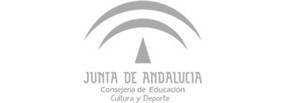 Diseño Junta Andalucia